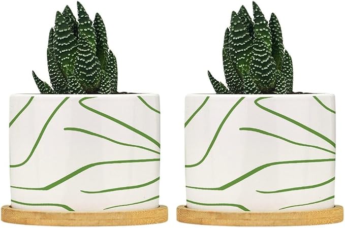 African Zebra Stripe Print Ceramic Planter Boho Geometric Green and Light Gray Planters for Indoor Plants with Drainage Holes and Saucers Pot for Indoor Outdoor Garden