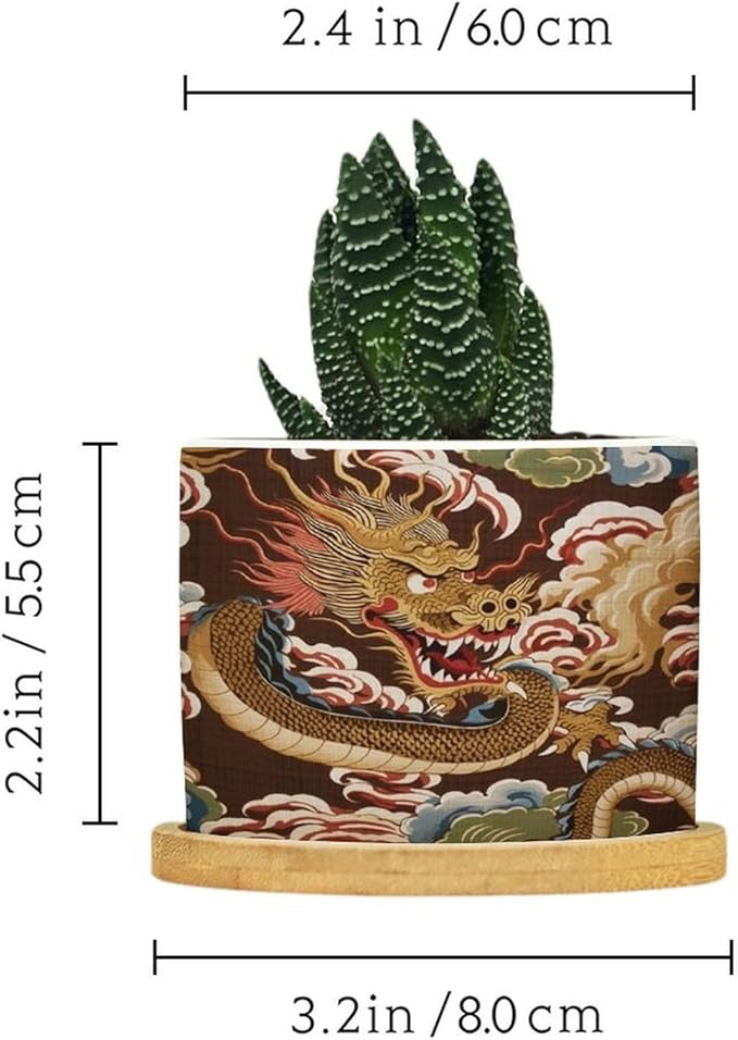 Chiang Dragon Planter Ceramic Chinoiserie Asian Round Flower Pot with Drainage Holes and Bamboo Tray Pot for Home Desktop Office Windowsill