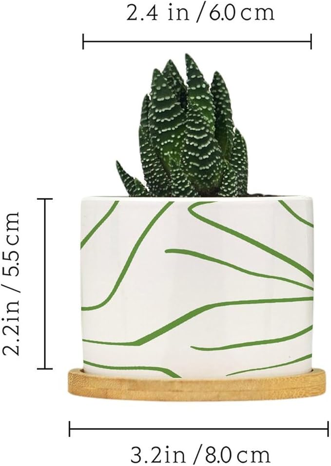 African Zebra Stripe Print Ceramic Planter Boho Geometric Green and Light Gray Planters for Indoor Plants with Drainage Holes and Saucers Pot for Indoor Outdoor Garden