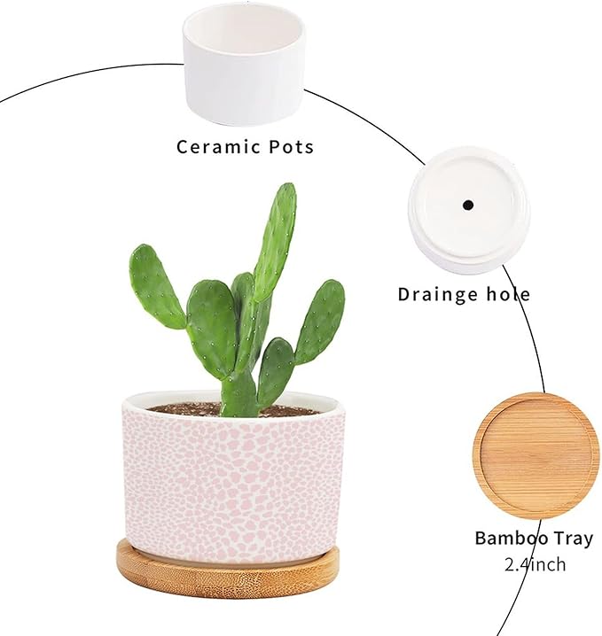 Pink Leopard Print Ceramic Planter African Animal Stripe Planters for Indoor Plants with Drainage Holes and Saucers Pot for Home Desktop Office Windowsill