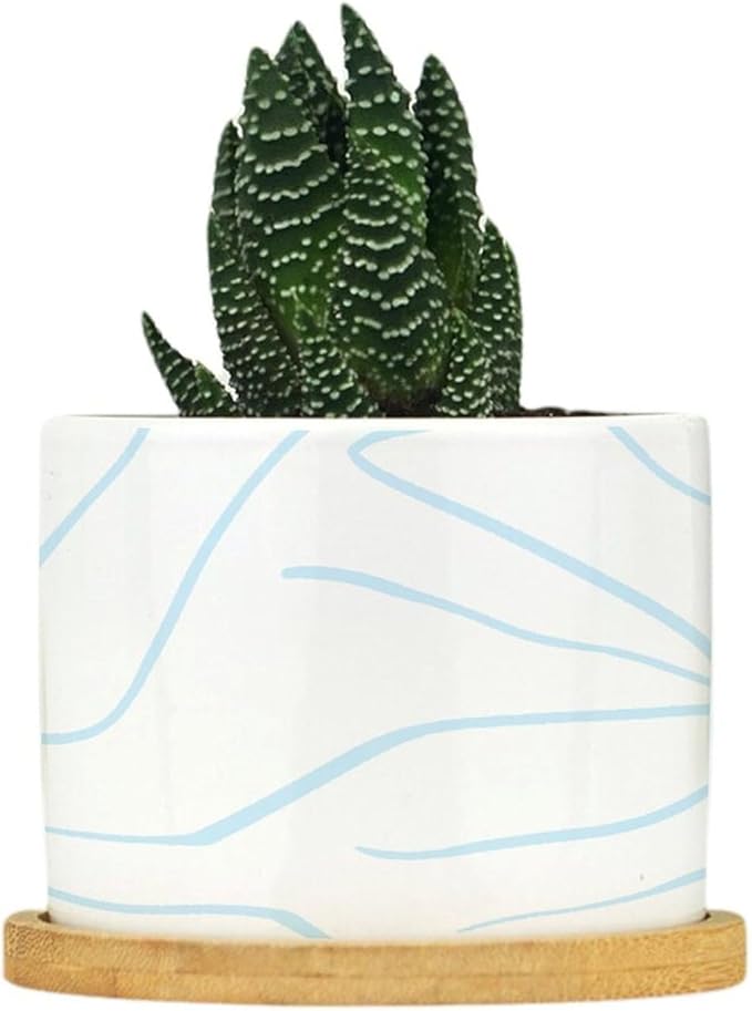 African Zebra Stripe Print Planter Ceramic Boho Geometric Light Blue and White Round Flower Pots with Drainage Holes and Bamboo Tray Pot for Home Office Decoration