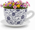 7.5" Ceramic Teacup Planter Pot with Saucer | Ideal for Succulents, Orchids, Herbs & Flowers | Indoor Use| Gift for Valentine's Day, Gift Basket, Sympathy & More – White Blue Floral
