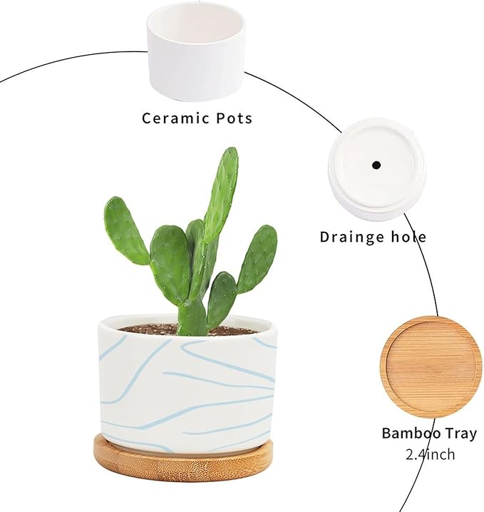 African Zebra Stripe Print Planter Ceramic Boho Geometric Light Blue and White Round Flower Pots with Drainage Holes and Bamboo Tray Pot for Home Office Decoration