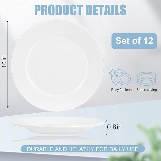 12 Pcs Porcelain Plates, 10 inch White Dessert and Appetizer Plates, Microwave and Dishwasher Safe Ceramic Set