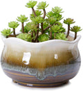 VanEnjoy Large Ceramic Succulent Pot, Multicolor Colorful Flowing Glazed, Indoor Home Décor Cactus Flower Bonsai Pot Planter Container, Candle Holder Ring Bowl (Brown C)