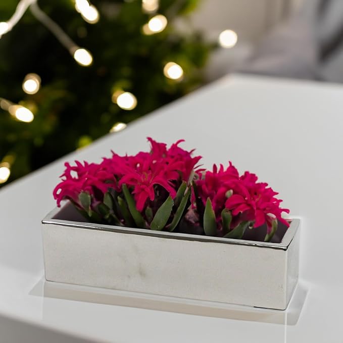 WGVI Long Rectangle Ceramic Planter Vase in Silver 14" x 4" x 4"H, Rectangular Box Block Terrarium Pot, Flower Arrangement, Tabletop Centerpiece, Home Decor Organization Storage Container, 4 Pcs