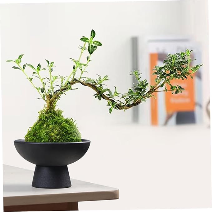 Ceramic Plant Pot 5x3 Inch Chinese Style Black Ceramic Planter Pot with Smooth Surface for Home Garden Flower Arrangement Bonsai