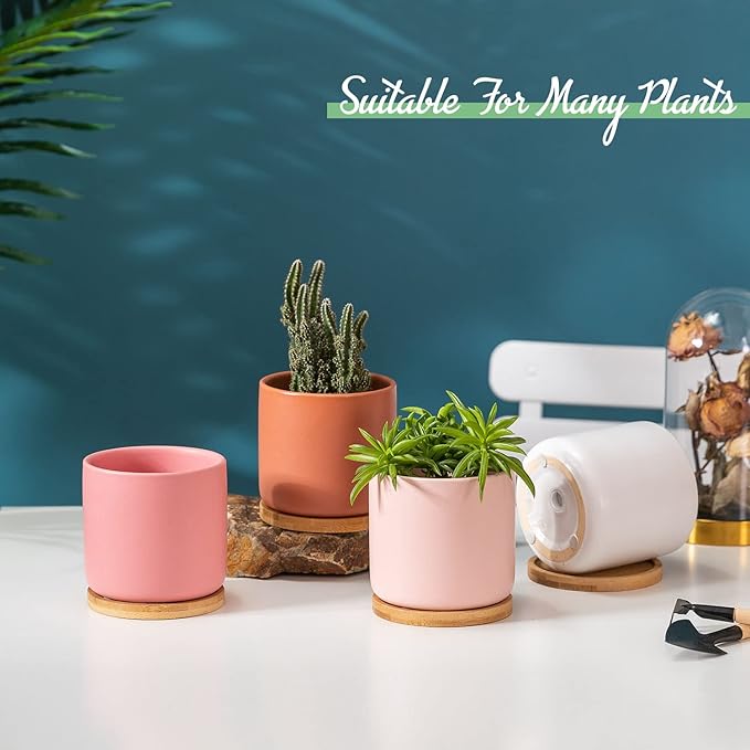 TAMAYKIM 4 Inch Ceramic Plant Pots with Drainage Holes & Tray, Adorable Small Cylinder Planter for Indoor Decor, Succulent, Snake Plants, Cactus & Herbs, Flowers, Set of 4 for Home Office Garden