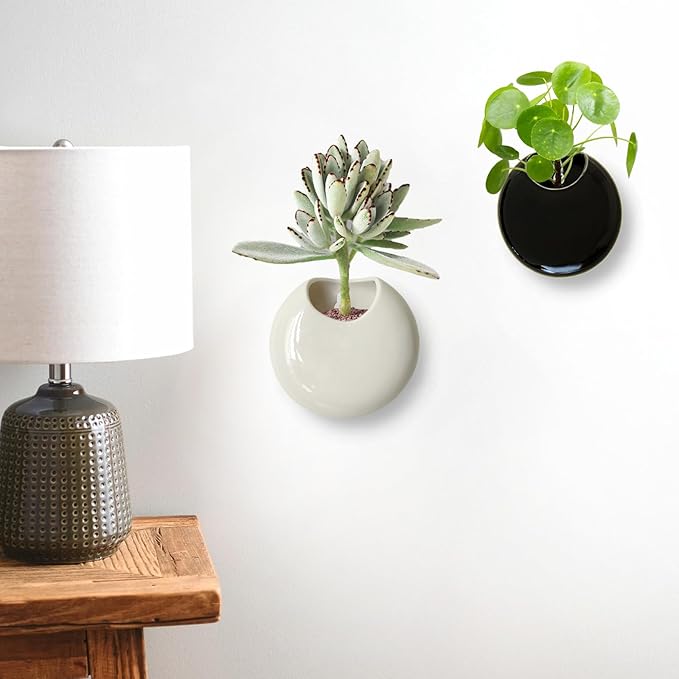 Small Wall Planters for Indoor Plants Ceramic Wall Mounted Plant Holder Go Pieces Shape Propagation Wall Hanging Pots for Plants Indoor Outdoor (White)