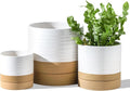 HASENSE Plant Pots, 8+6+4.6 Inch Ceramic Pots for Plants with Drainage Hole and Saucer, White Flower Planters Set of 3, Ideal for Gardening Home Desktop Office Decor