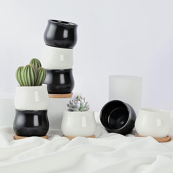 2 Pack Succulent Pots, 2.5 Inch Mini Ceramic Pots for Flower or Cactus Plants with Drainage Hole,Plants Not Included (Black)