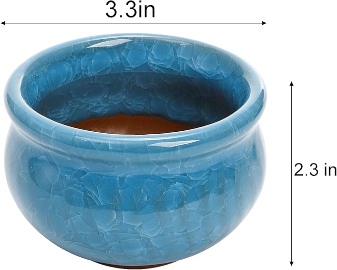 Okllen Set of 6 Small Succulent Pots, Ceramic Succulent Planters Stylish Crackle Glaze Design with Drainage Holes for Indoor/Outdoor Small Plants, Plants Not Included