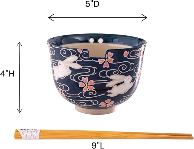 Urban Tokyo Handpainted Ceramic Glazed Japanese Ramen Udon Noodle Rice Bowl With Chopsticks 20 fl oz 5 inch Diameter Bowl Sets Color Box Packaging (Cherry Blossoms Rabbit)