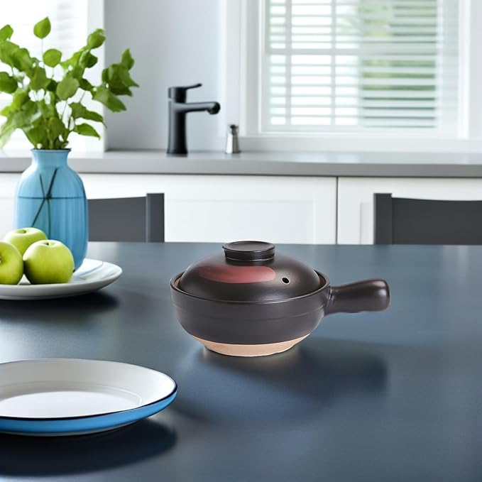 Clay Pot for Cooking Asian Food with Silicone Lid and Single Handle Traditional Terracotta Casserole Soup Pot for Gas Stove 10 Inch Kitchen Cookware for Home and Restaurant