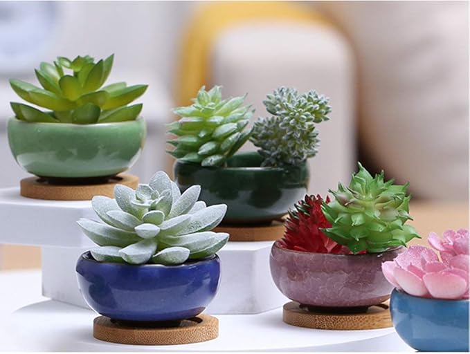 Lawei 12 Pack Ice Crack Succulent Pots with Bamboo Saucer - Ceramic Mini Cactus Plant Pots Flower Pots Container Planter for Home Garden Office Decoration