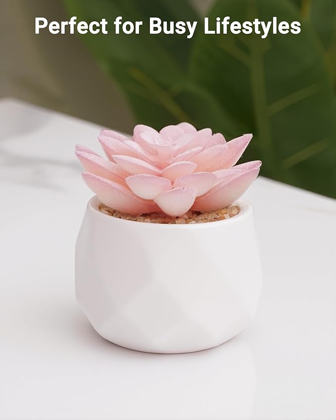 VIVERIE Mini Succulents Plants Artificial in Pots-Rose Pink, Christmas Small Fake Succulents Plants for Home Decor Indoor for Women, White Ceramic Faux Succulents, Set of 1, Gifts for Mom