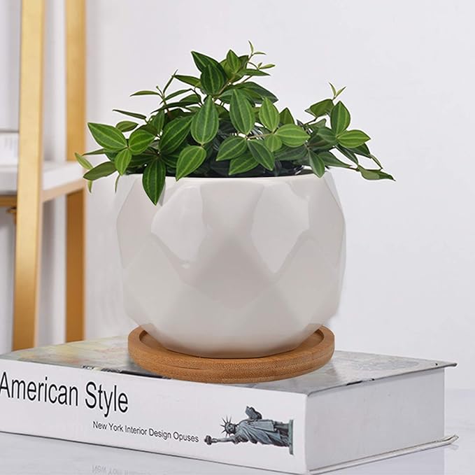 Jucoan 6 Pack Ceramic Succulent Planter Pot with Bamboo Tray, 4 Inch Small White Diamond Shaped Cactus Herb Flowers Planter with Drainage Hole for Indoor Home Office Decor