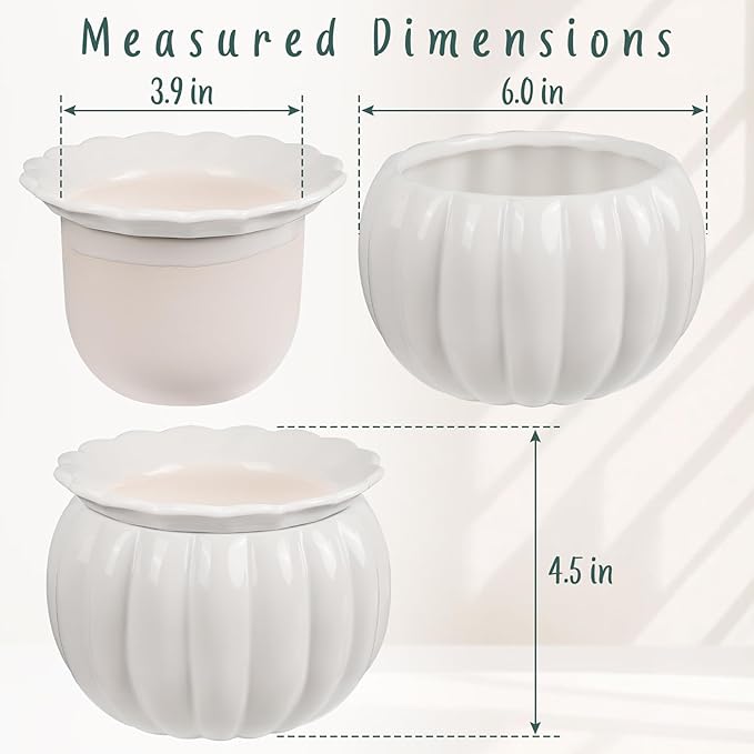 African Violet Pots, Self-Watering Ceramic Planter – 6 Inch Pot for Indoor Plants, Succulents, Herbs & Small Houseplants, Simple Self-Watering Design for Home & Office Décor, White