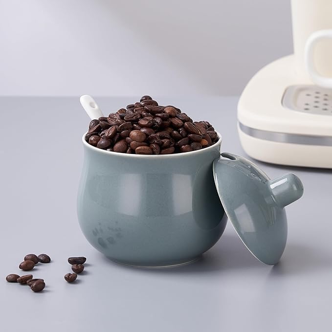 Ceramic Sugar Bowl with Lid and Spoon, Gray Porcelain Sugar Salt Pepper Storage Jar, 12 Ounces