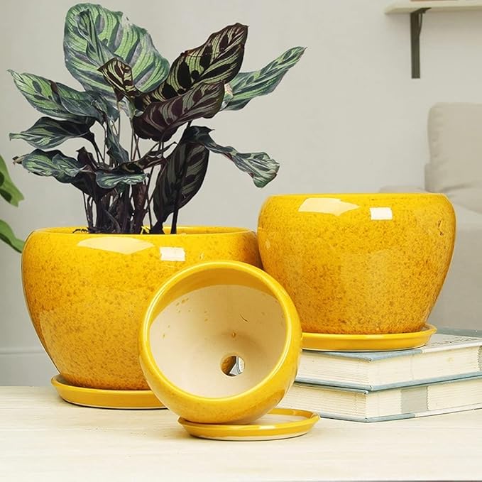 Simple Flower Pot Chinese Style Yellow Flower Glaze Ceramic Pot Indoor Large Succulent Plant Pot with Tray Outdoor Balcony Breathable Planter Exquisite Orchid Plant Pot (Size : M)