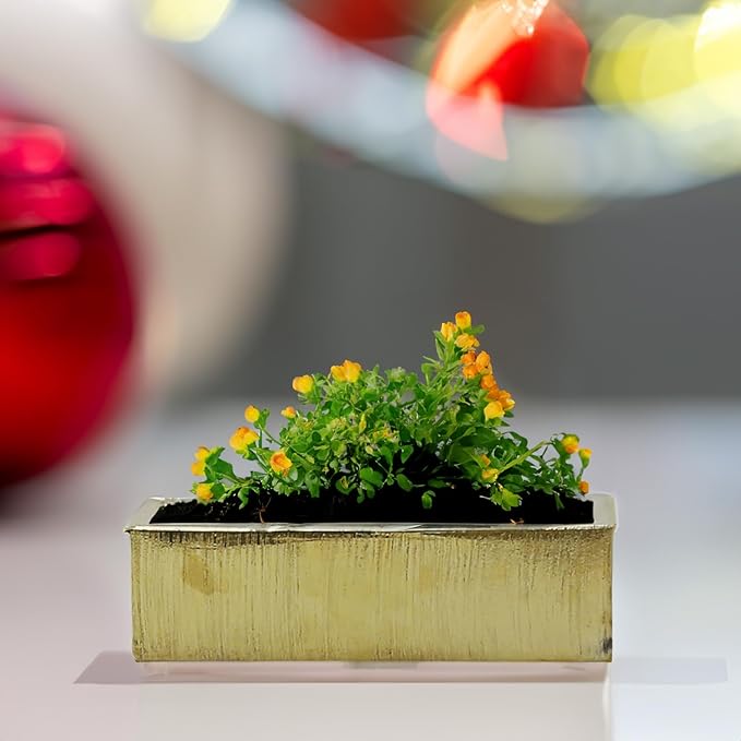 WGVI Long Rectangle Ceramic Planter Vase in Gold Etched 14" x 4" x 4"H, Rectangular Box Block Terrarium Pot, Flower Arrangement, Tabletop Centerpiece, Home Decor Organization Container, 4 Pcs.