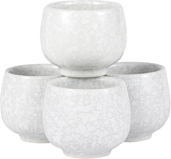 Japanese Plum Blossoms 5 Piece Sake Set 9.5 fl oz Bottle and 4 Cups Porcelain (White)