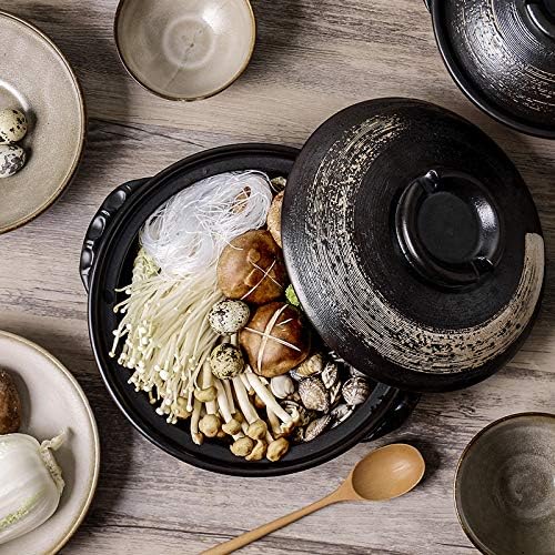Japanese Ceramic Hot Pot, 3 Quart Clay Pot for Cooking with Lid, Heat Resistant Pot for Stew and Soup, Large Clay Cooking Pots for Nabe Pot and Korean Stone Pot Bibimbap,2800ML,B