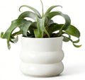 6 Inch Plant Pot,Ceramic Planter Pot with Drainage Hole,Indoor Planters for Herbs Plants,Ceramic Flower Pots for Indoor/Outdoor Plants,Home Office Garden Décor,Cream White