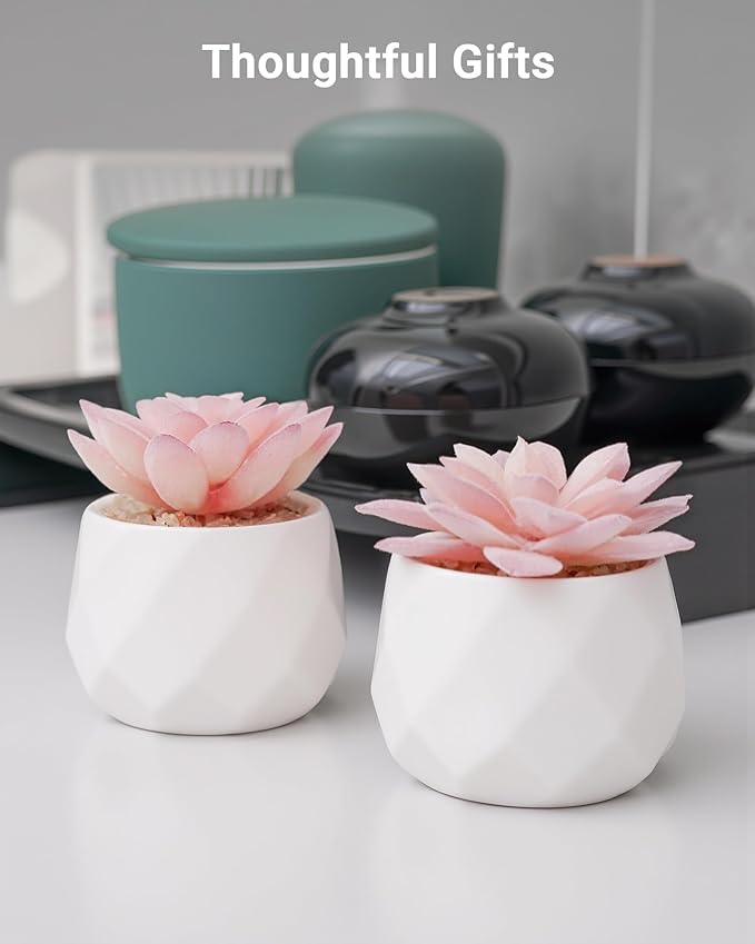 VIVERIE Mini Succulents Plants Artificial in Pots-Rose Pink, Christmas Small Fake Succulents Plants for Home Decor Indoor for Women, White Ceramic Faux Succulents, Set of 2, Gifts for Mom