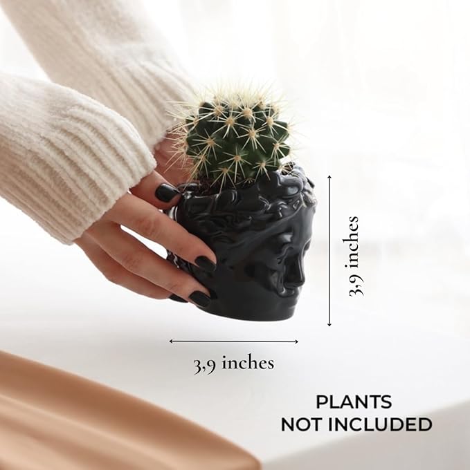 Small Head Planter - Ceramic Face Planter Pots for Indoor Plants, Cute Funny Succulent Pot with Drainage Hole, Unique Gift, 3.9"