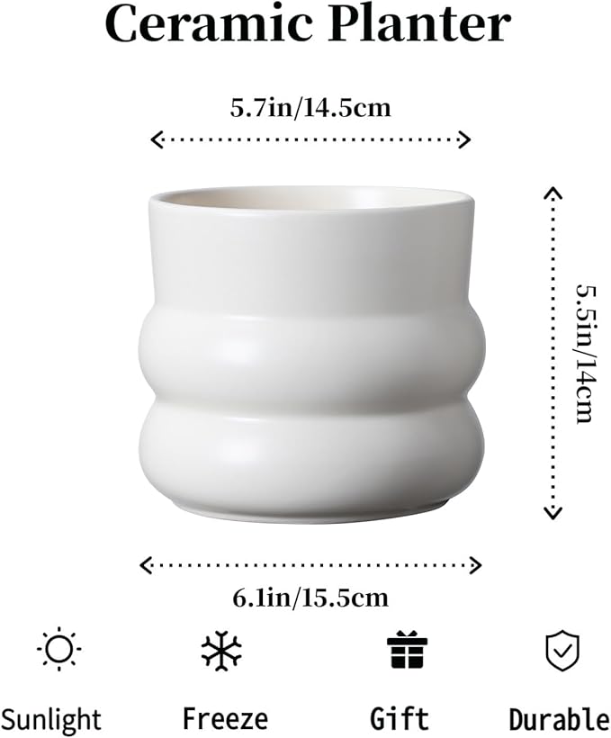 6 Inch Plant Pot,Ceramic Planter Pot with Drainage Hole,Indoor Planters for Herbs Plants,Ceramic Flower Pots for Indoor/Outdoor Plants,Home Office Garden Décor,Cream White