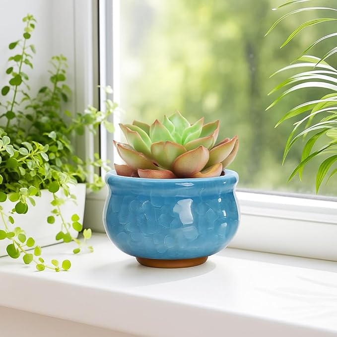 Okllen Set of 6 Small Succulent Pots, Ceramic Succulent Planters Stylish Crackle Glaze Design with Drainage Holes for Indoor/Outdoor Small Plants, Plants Not Included