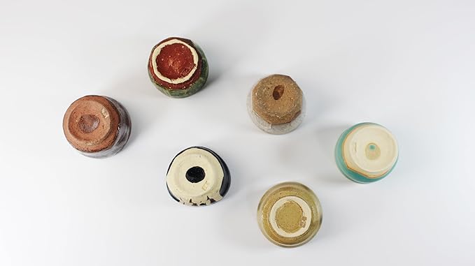 Japanese Sake Cup Set, Mino Ware Guinomi Ceramic Cups with Wooden Box, Traditional Pottery for Sake Tea, Handmade in Japan (Keizan Saku Sake Set (6cups), Cup Size (2.0–3.9 fl oz - 60–115 ml))