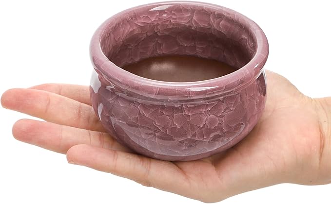 Okllen Set of 6 Small Succulent Pots, Ceramic Succulent Planters Stylish Crackle Glaze Design with Drainage Holes for Indoor/Outdoor Small Plants, Plants Not Included