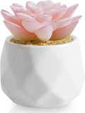 VIVERIE Mini Succulents Plants Artificial in Pots-Rose Pink, Christmas Small Fake Succulents Plants for Home Decor Indoor for Women, White Ceramic Faux Succulents, Set of 1, Gifts for Mom