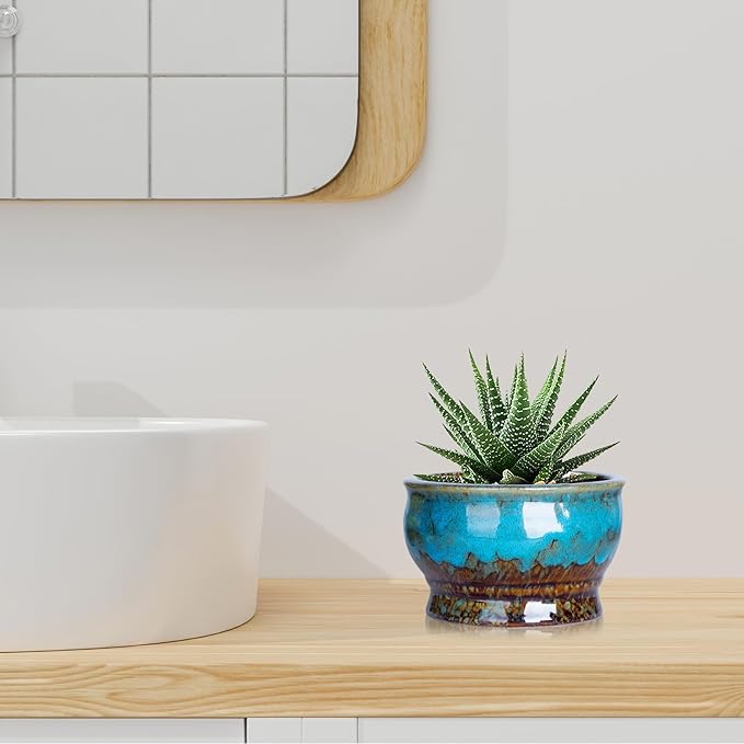 ARTKETTY Succulent Pots - 4.3 Inch Small Plant Pots with Drainage Set of 5, Ceramic Pots for Indoor Plants Glazed Cactus Flower Planter Container