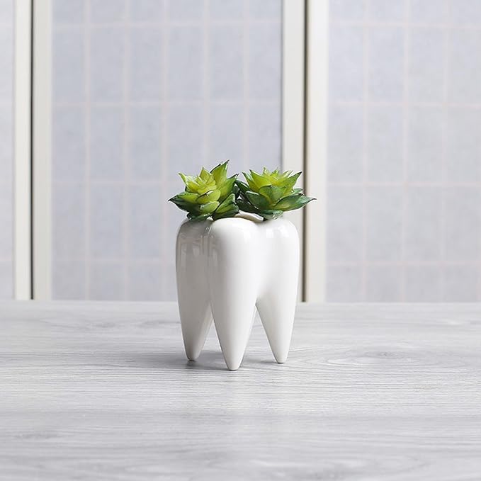 1 PC Creative Tooth Shaped Garden Succulent Ceramic Flower Pot Dental Toothbrush Holder Ceramic Storage Bucket Personalized Decoration Creative Birthday Gift Desktop Desk Decoration(Tooth)