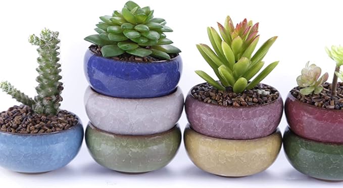 Lawei 12 Pack Ice Crack Succulent Pots with Bamboo Saucer - Ceramic Mini Cactus Plant Pots Flower Pots Container Planter for Home Garden Office Decoration