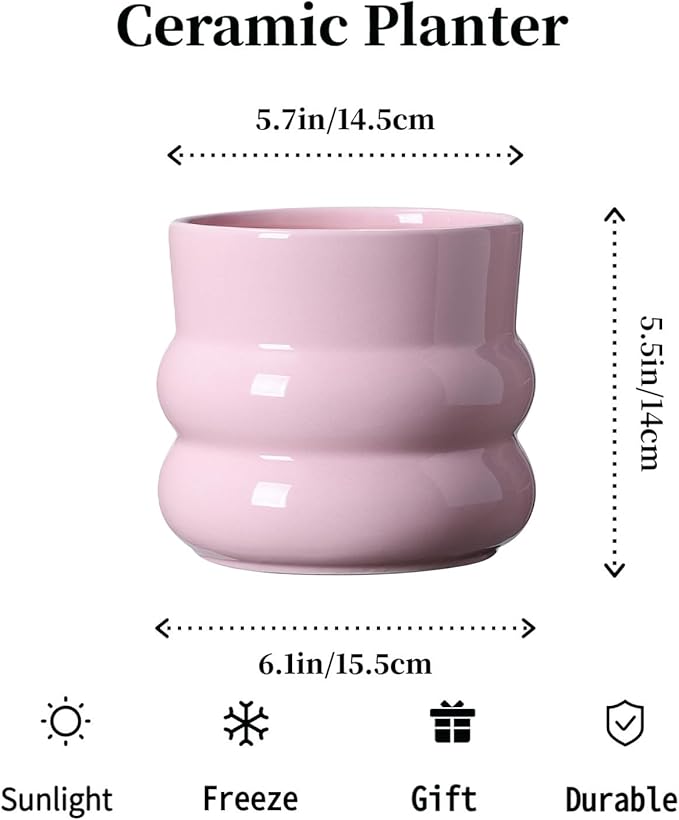 6 Inch Plant Pot,Ceramic Planter Pot with Drainage Hole,Indoor Planters for Herbs Plants,Ceramic Flower Pots for Indoor/Outdoor Plants,Home Office Garden Décor,Pink