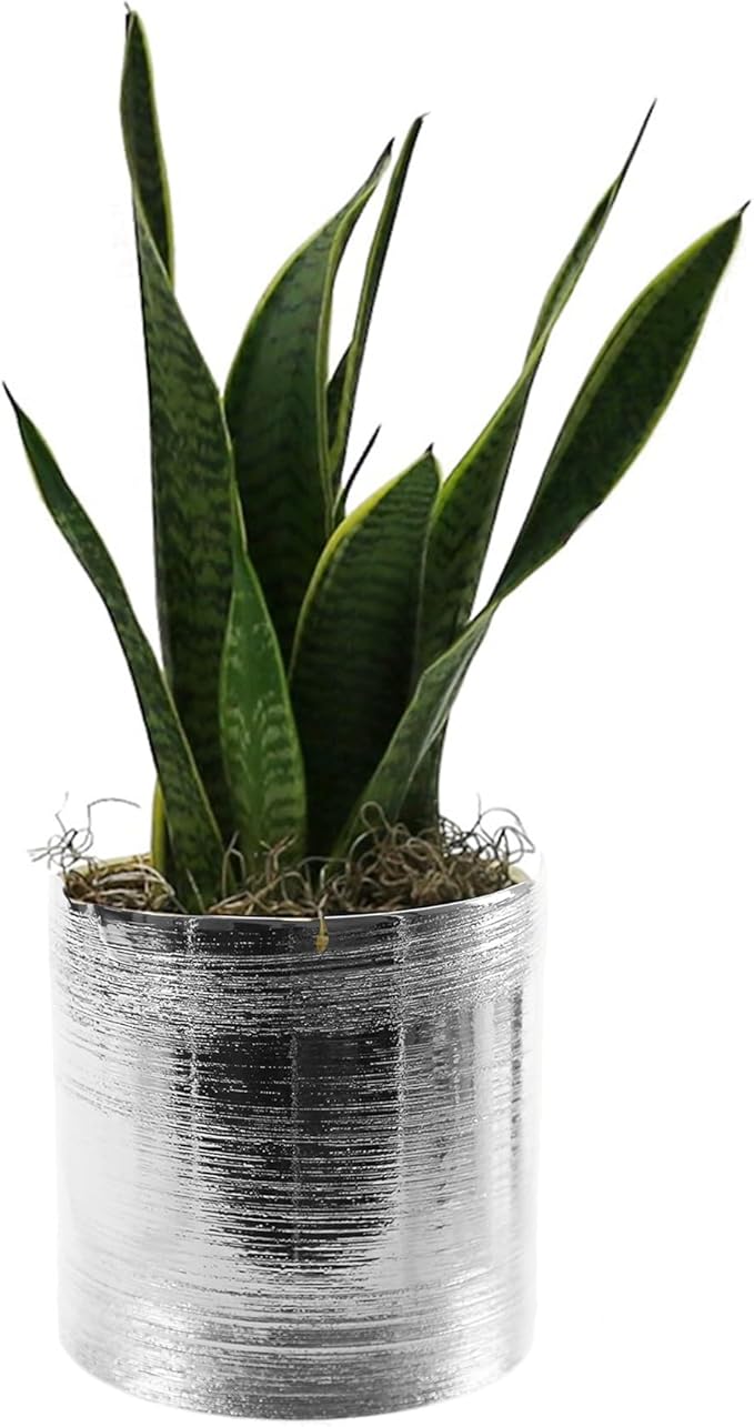 WGVI Silver Etched Ceramic Cylinder Vase Width 3.75" Height 4", Flower Arrangements, Candle Holder, Terrarium Planter Pot, Storage Container Organizer, Pen Brush Holder, Scratched Texture, 6 Pcs