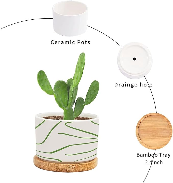 African Zebra Stripe Print Planter Ceramic Boho Geometric Green and Light Gray Round Plant Pots with Drainage Holes and Bamboo Tray Pot for Succulents Cactus Garden Windowsill