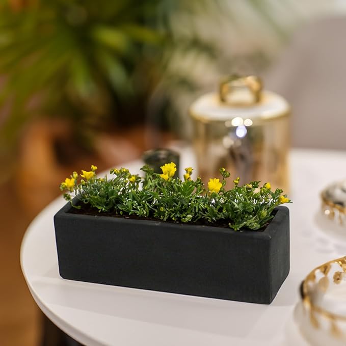 WGVI Long Rectangle Ceramic Planter Vase in Black 12" x 4" x 4"H, Block Rectangular Terrarium Box Pot, Flower Arrangement, Table top Centerpiece, Home Decor Organization Storage Container, 6 Pcs.
