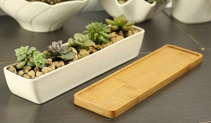 11inch Long Rectangle White Ceramic Succulent Planter Pots/Mini Flower Plant Containers with Bamboo Saucers. Product Size:11x2.23x1.69inch,not Include The Plant. (Long Rectangle)
