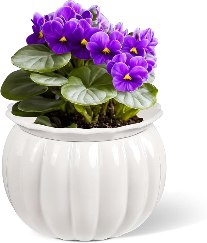 African Violet Pots, Self-Watering Ceramic Planter – 6 Inch Pot for Indoor Plants, Succulents, Herbs & Small Houseplants, Simple Self-Watering Design for Home & Office Décor, White
