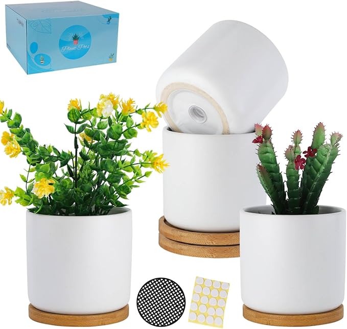 TAMAYKIM 4 Inch White Ceramic Plant Pots with Drainage Holes, Adorable Flower Planter Pot with Tray for Indoor Succulent Plants, Snake Plants, Cactus & Herbs, Set of 4 (Plant Not Included)