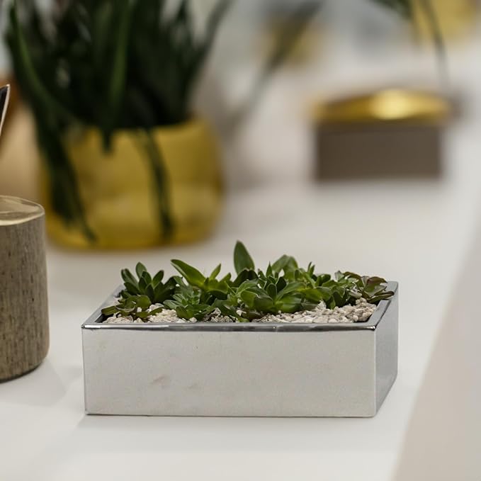 WGVI Long Rectangle Ceramic Planter Vase in Silver 12" x 4" x 4"H, Block Rectangular Terrarium Box Pot, Flower Arrangement, Table top Centerpiece, Home Decor Organization Storage Container, 1 Pc.