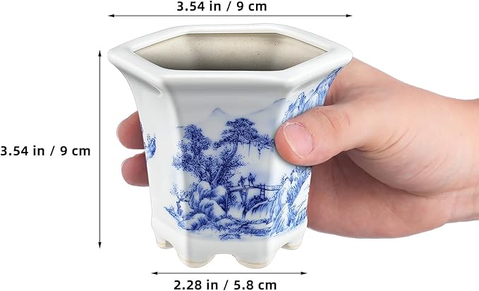 Blue and White Ceramic Succulent Planter Pot for Indoor Balcony with Oval Porcelain Bonsai Bowl, Small Asian Style Flower Pot for Cactus and Nursery Plants
