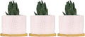 Pink Leopard Print Ceramic Planters African Animal Stripe Snake Plant Live Indoor with Pot with Drainage Holes and Saucers Pot for Home Desktop Office Windowsill