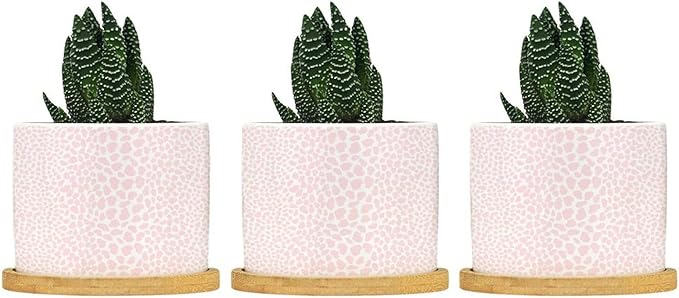 Pink Leopard Print Ceramic Planters African Animal Stripe Snake Plant Live Indoor with Pot with Drainage Holes and Saucers Pot for Home Desktop Office Windowsill