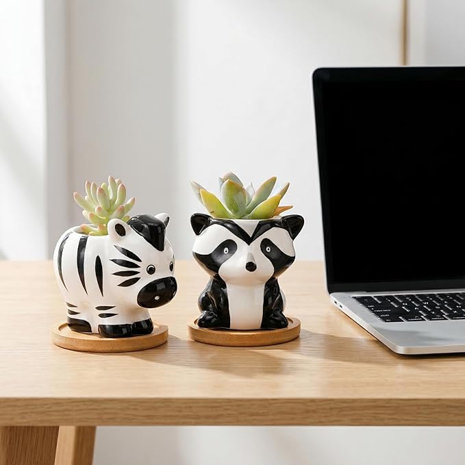 6 Pack Small Succulent Pots with Drainage Hole, 3 Inch Cute Ceramic Animal Planter with Saucer, Unique Air Plant Holder, Desktop Plant Flower Pot for Indoor Plants, Cactus, Garden, Home Decor